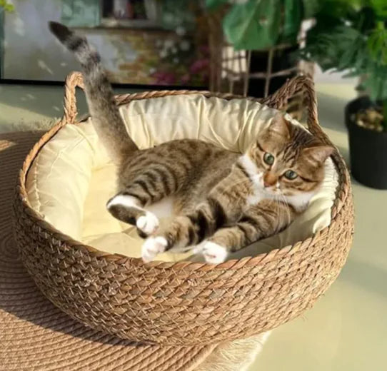 Pet Supplies