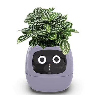 AI-Powered Plant Buddy